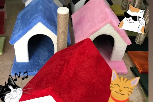 AİLE PETSHOP - Resim 9