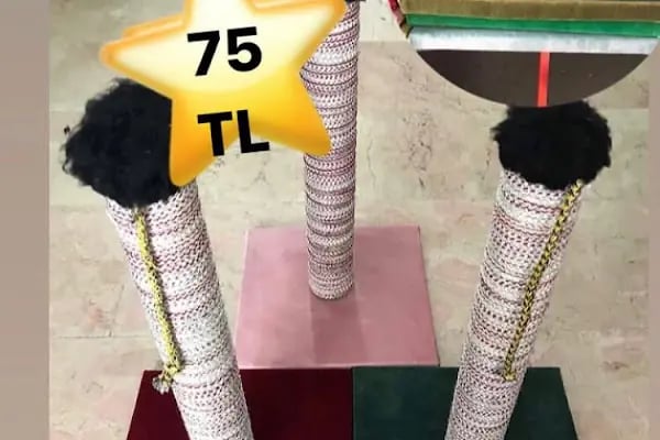 AİLE PETSHOP - Resim 17