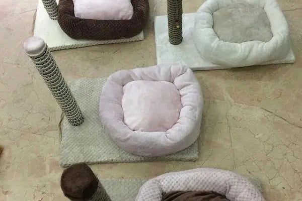 AİLE PETSHOP - Resim 8