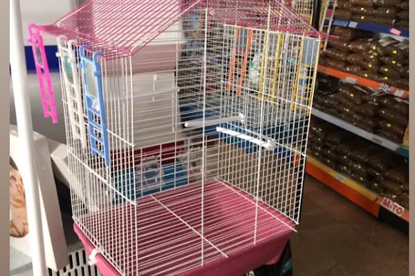 AİLE PETSHOP - Resim 16