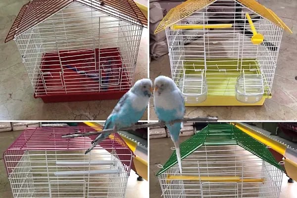 AİLE PETSHOP - Resim 4