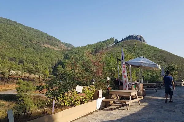 Köşek Bükü Astım Mağarası ve Cafe - Resim 9