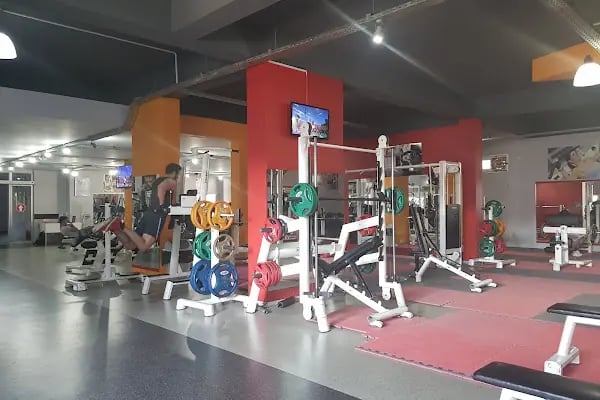 Aydın Spor Salonu ( SporinWellnessClub ) - Resim 2
