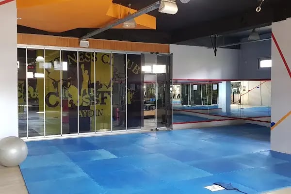 Aydın Spor Salonu ( SporinWellnessClub ) - Resim 5