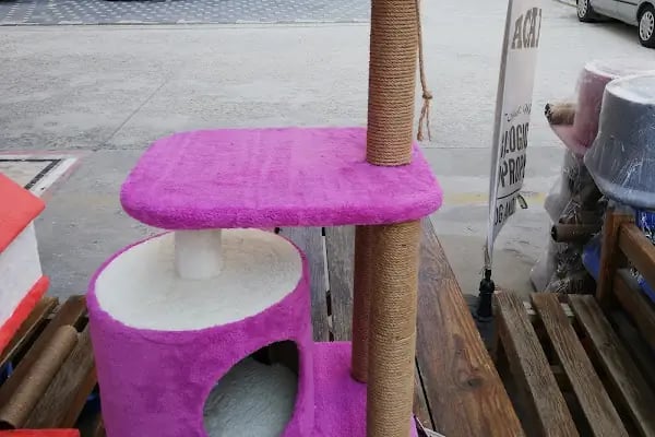 OSMANLI PETSHOP Akvaryum & Ayakkabı, valiz, çanta, deri mont,Tamir işleri - Resim 7