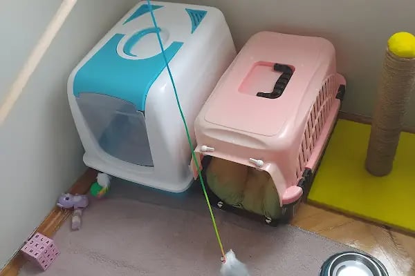 OSMANLI PETSHOP Akvaryum & Ayakkabı, valiz, çanta, deri mont,Tamir işleri - Resim 6