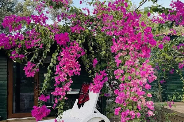 My Bungalov - Resim 4