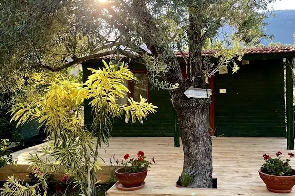 My Bungalov - Resim 13
