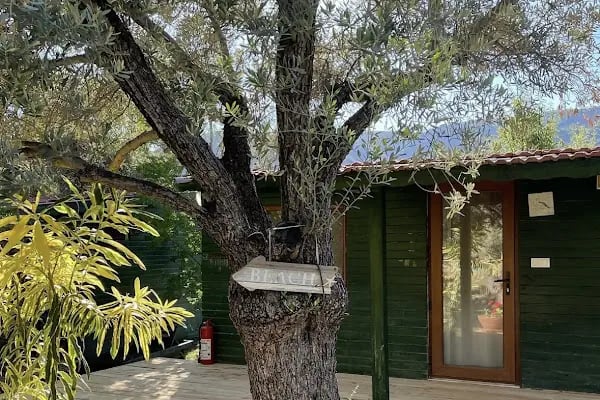 My Bungalov - Resim 10