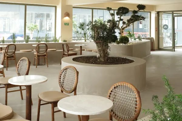 Goches Coffee - Resim 13