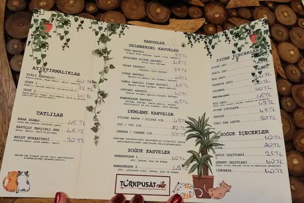 N&T Kum Cafe - Resim 15