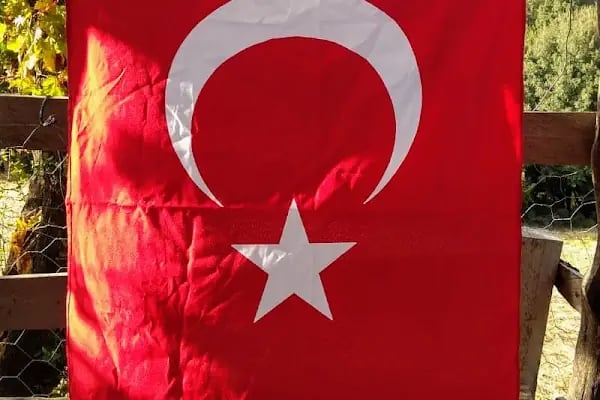 Tenis Sahası - Resim 2