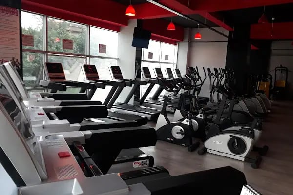 Milfit 2 Spor Salonu - Resim 1