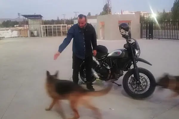 Diriliş Otomotiv Tekstil Ltd Şti - Fabrika - Resim 16