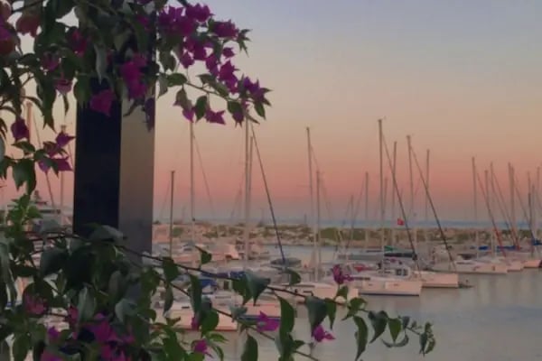 WEST İstanbul Marina Tenis Spor Kulübü Derneği - Resim 12