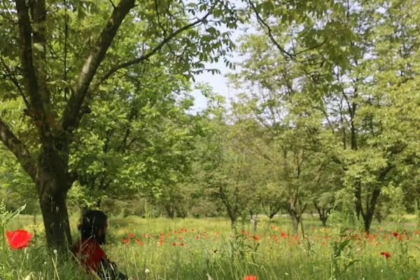 Delta Dijital Fotoğrafçılık - Resim 16