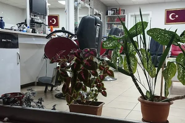 mercan Erkek kuaförü - Resim 2