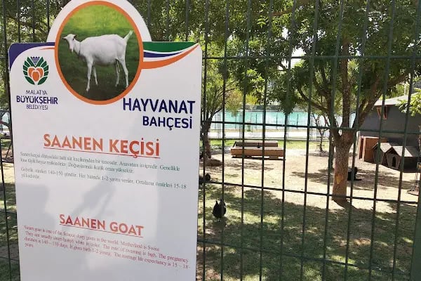 MALATLA HAYVANAT BANÇESİ - Resim 12