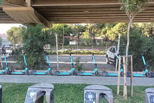 Bornova - Resim 17