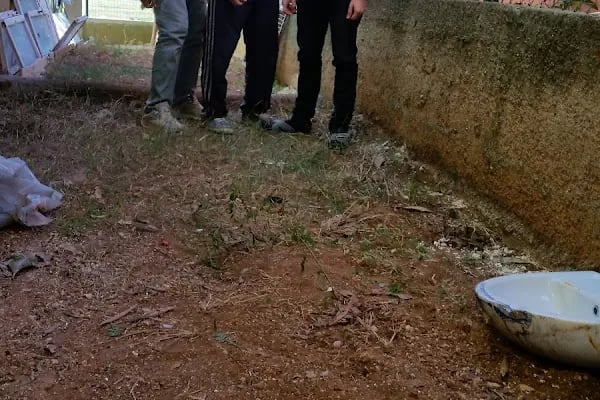 Seyhan Belediyesi Belediye Evleri Mahallesi 3 Nolu Koruluk Alanı - Resim 7