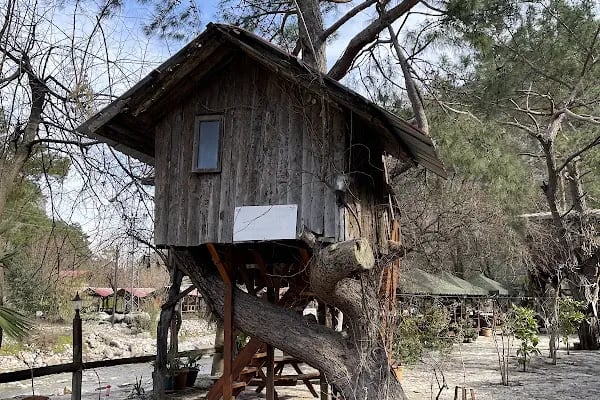 Olimpos Ağaç Evler - Resim 20
