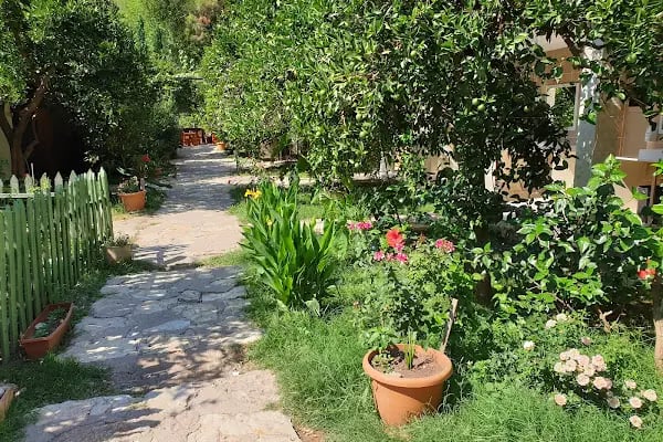 Olimpos Ağaç Evler - Resim 18