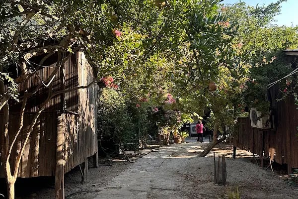 Olimpos Ağaç Evler - Resim 17