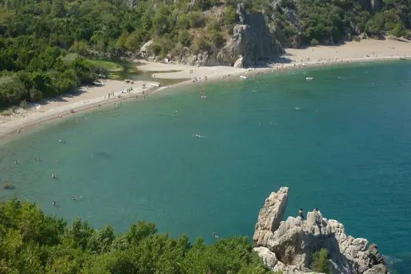 Olimpos Ağaç Evler - Resim 11