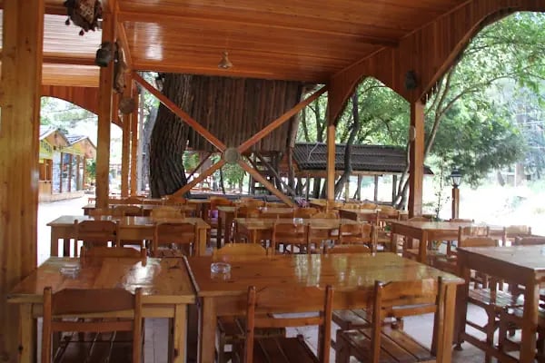 Olimpos Ağaç Evler - Resim 6