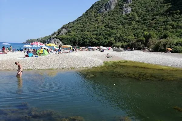 Olimpos Ağaç Evler - Resim 16