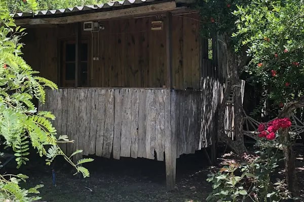 Olimpos Ağaç Evler - Resim 15
