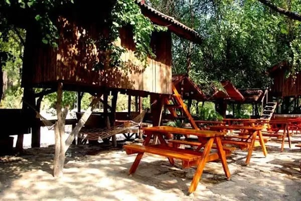 Olimpos Ağaç Evler - Resim 7