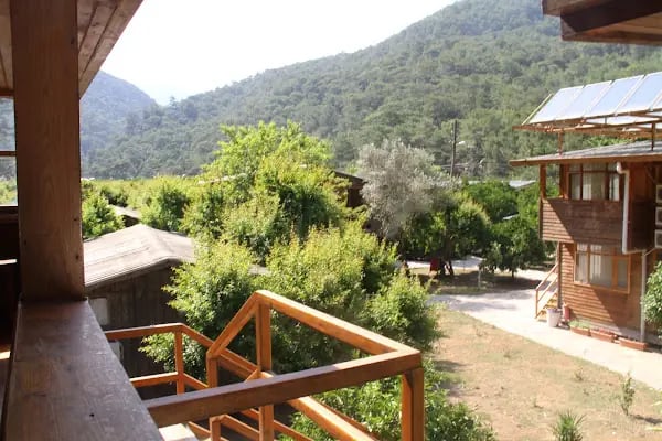 Olimpos Ağaç Evler - Resim 4