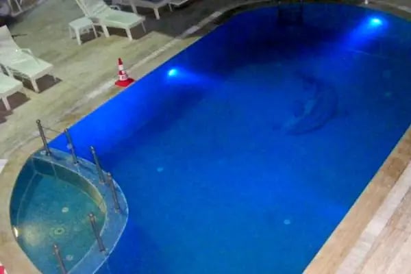 New Bodrum Hotel - Resim 20