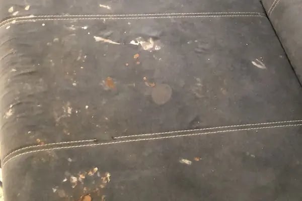 KUZEY ANKARA TOKİ HALI VE KOLTUK YIKAMA - Resim 12