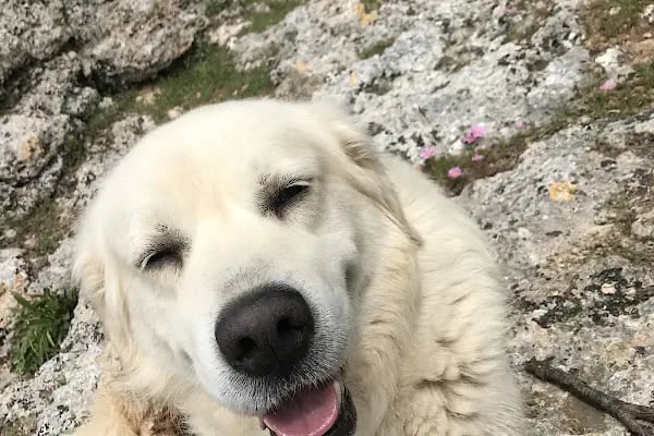 Güver Uçurumu - Resim 17