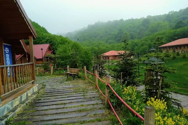 Aytepe Diriliş Kamp - Resim 4