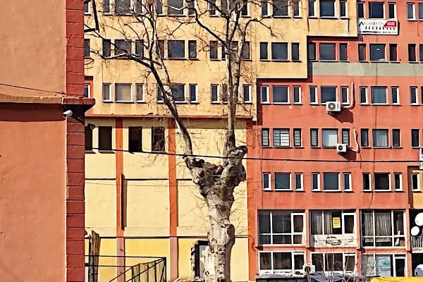 Akçaabat Merkez İlkokulu - Resim 4