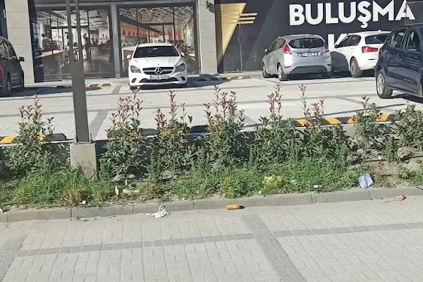 Collet Avcılar - Resim 6