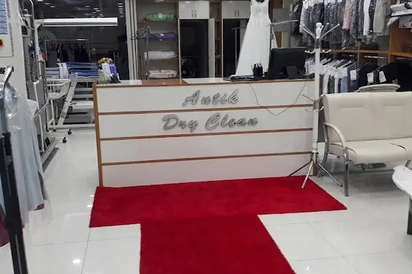 Antik Kuru Temizleme - Resim 2