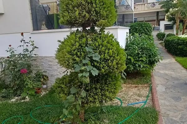 Taksim International Hotel obakoy - Resim 1