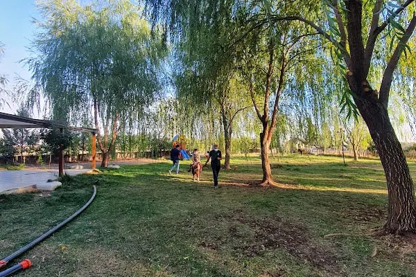 Truva Atlı Spor Kulübü - Resim 15