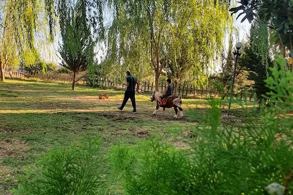 Truva Atlı Spor Kulübü - Resim 19