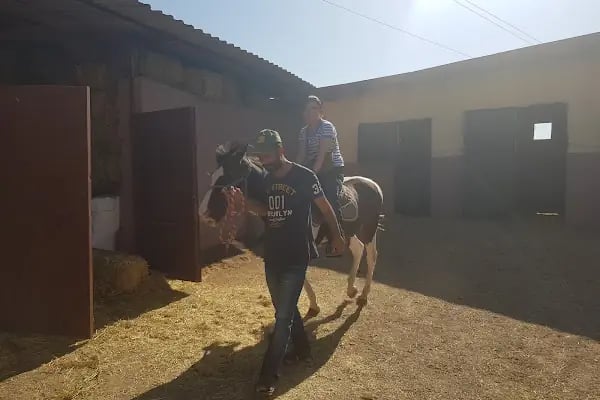 Truva Atlı Spor Kulübü - Resim 7