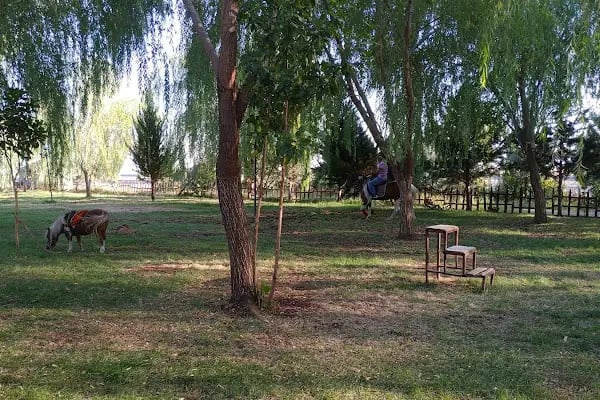 Truva Atlı Spor Kulübü - Resim 8