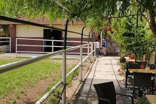 Truva Atlı Spor Kulübü - Resim 5