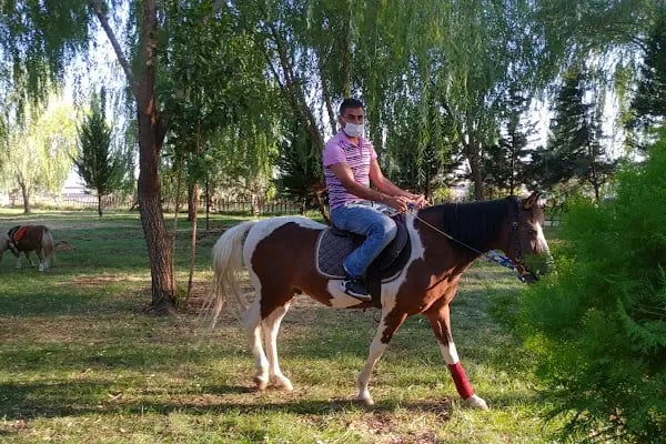 Truva Atlı Spor Kulübü - Resim 4