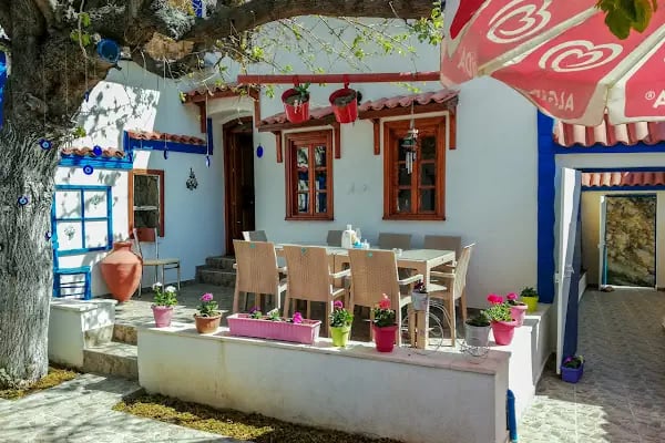 Sarıçalı Zeytinyağı - Resim 16