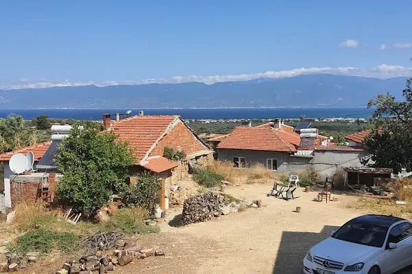 Sarıçalı Zeytinyağı - Resim 9