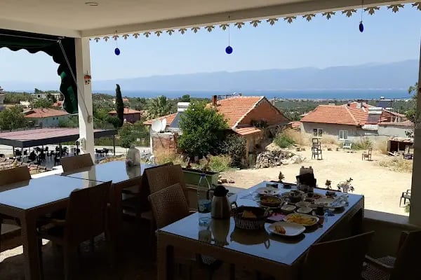 Sarıçalı Zeytinyağı - Resim 3
